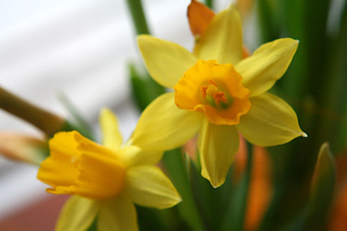 image30